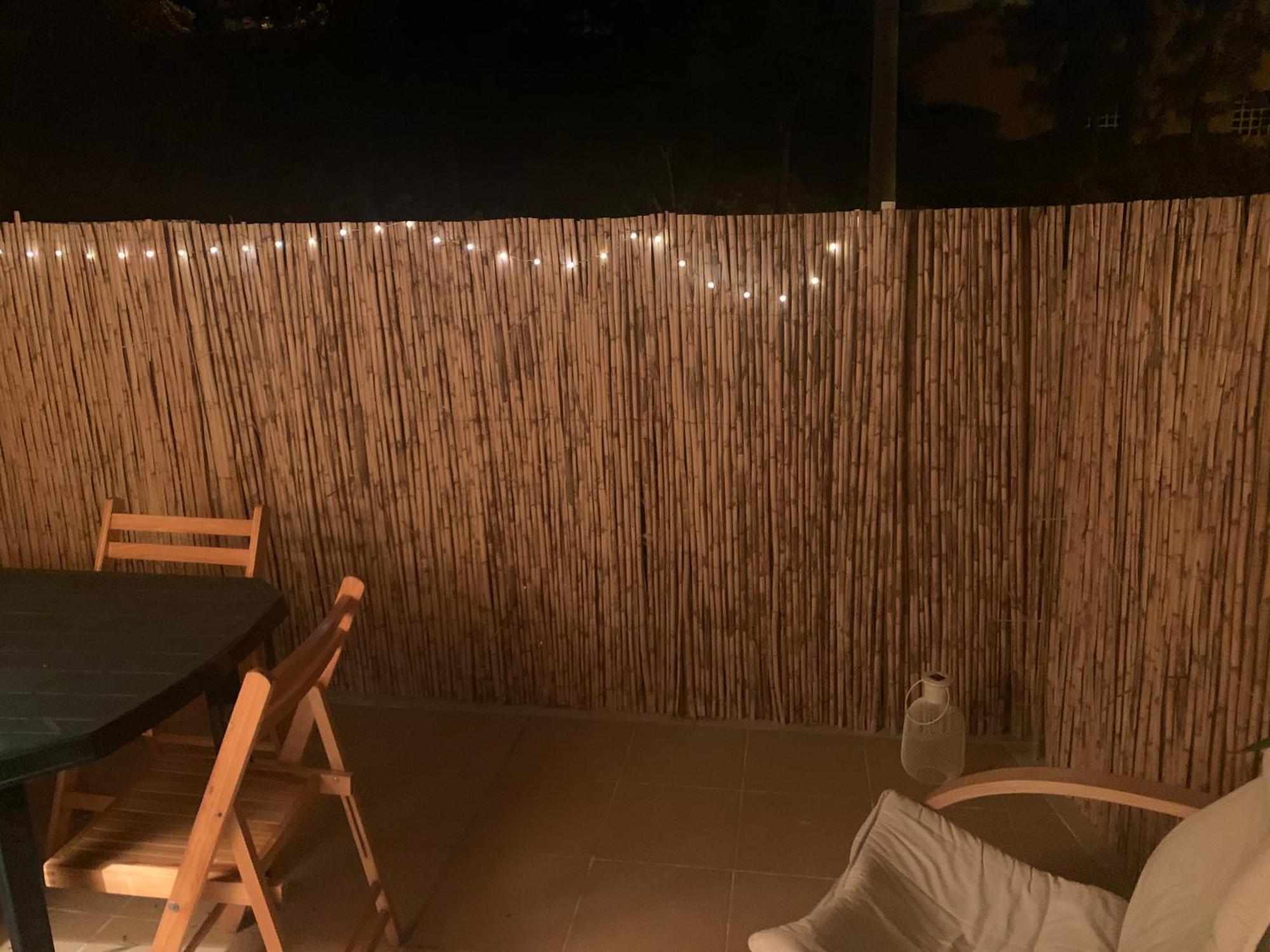 Praia Da Rocha Pasm Apartamentos Portimão Eksteriør billede